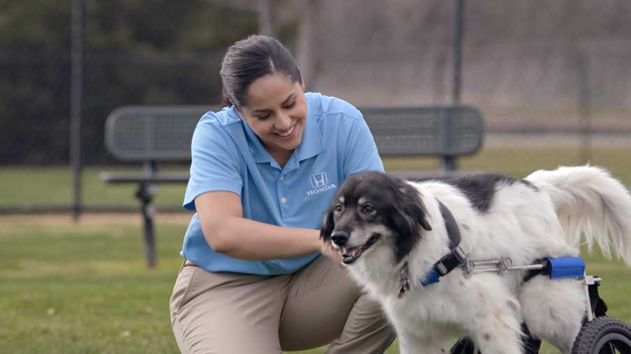 Honda - Dogs on Wheels
