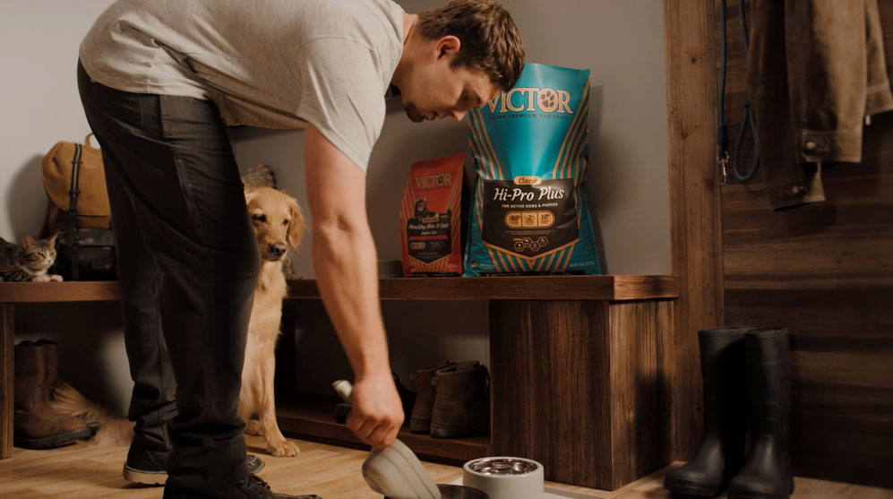 Victor Dog Food - Discover